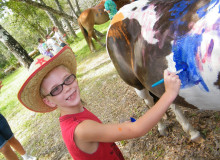 Painting a horse